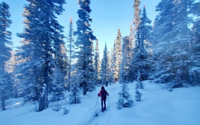 Snowshoe Basics
